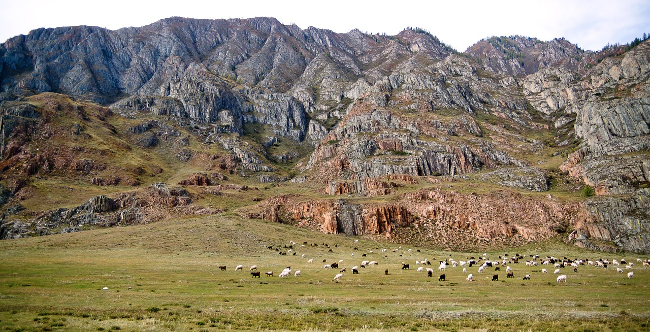 Отдых на колесах на Алтае: преимущества и советы по бронированию дома на колесах