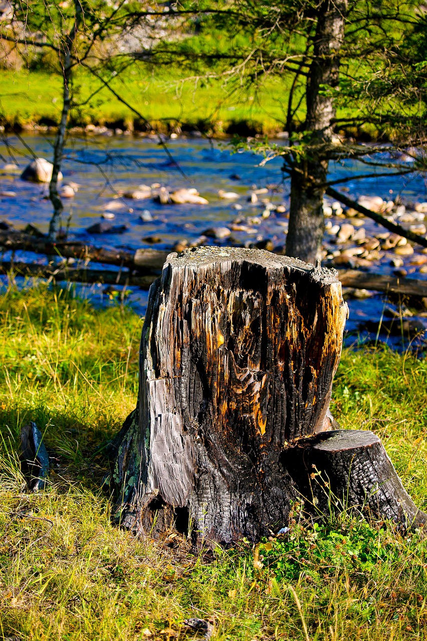 Аренда дома на колесах на Кавказе: цены и советы