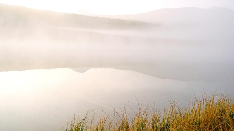 Аренда домов на колесах на Алтае: преимущества и советы