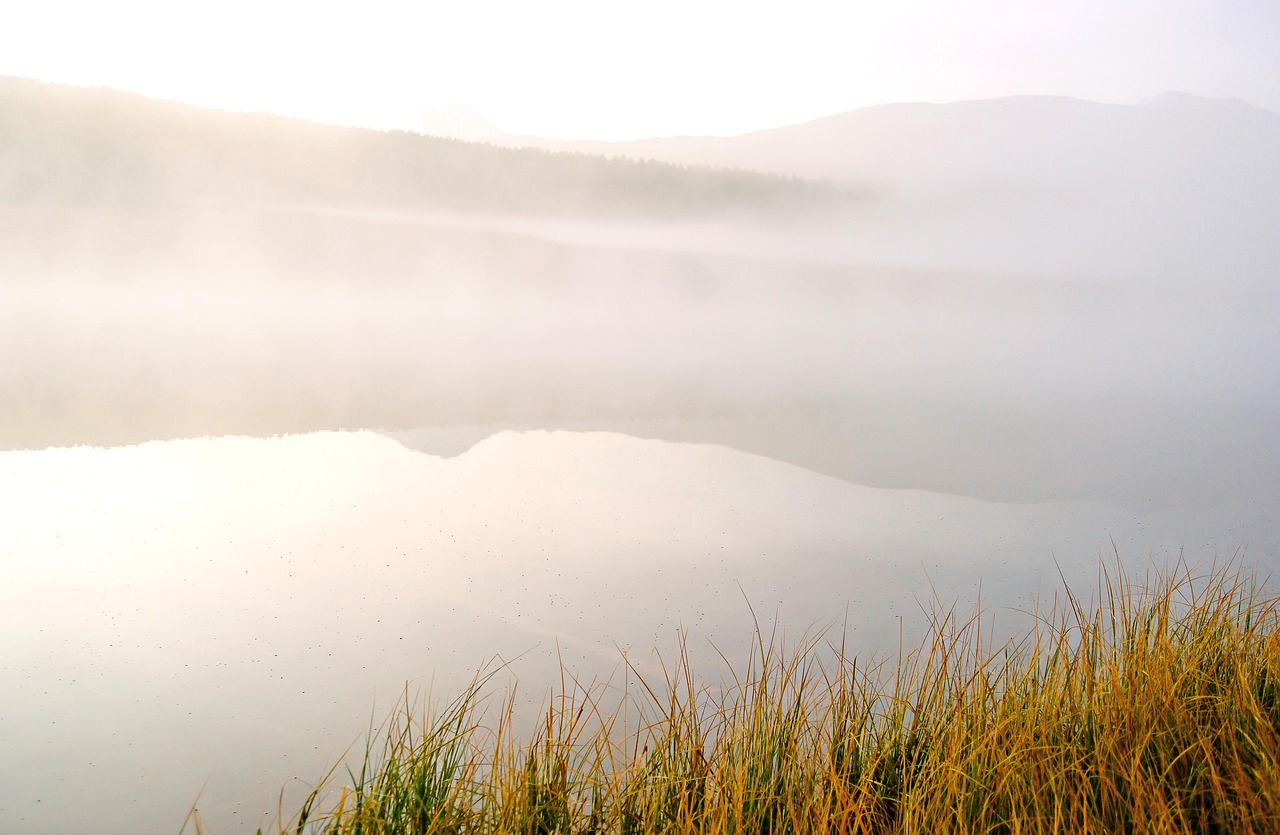 Аренда домов на колесах на Алтае: преимущества и советы
