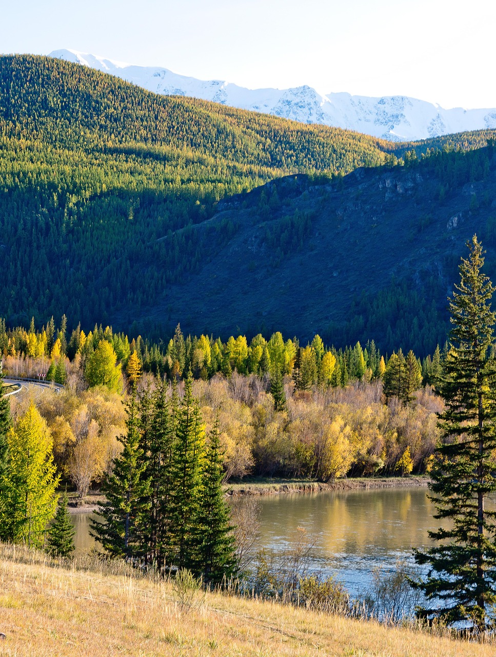 Онлайн автодом Кавказ Ессентуки