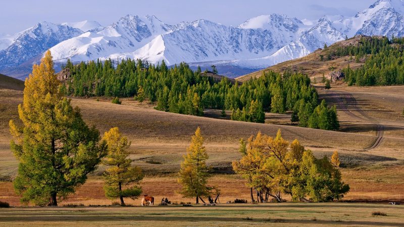 Аренда дома на колесах на Алтае: преимущества и особенности отдыха