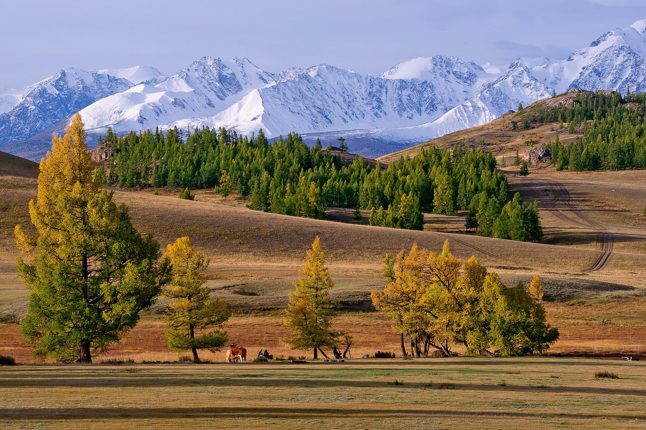 Аренда дома на колесах на Алтае: преимущества и особенности отдыха